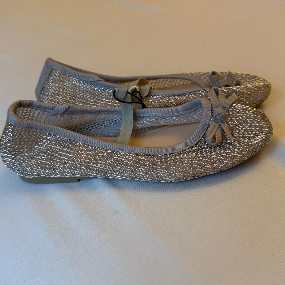 Elegant Silver Ballet Flats